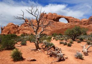 The Smart RVer Arches National Park 