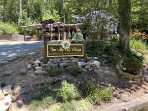 The Lily Pad Blue Ridge