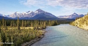 Mosquito Creek Banff Canada