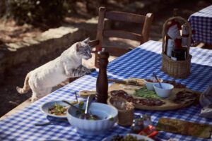 Folding Camp Table