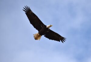 Guntersville State Park