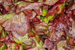 Allentown Salad