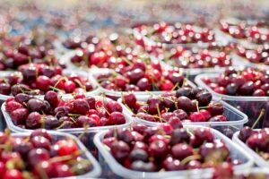 Allenstown PA Farmers Market