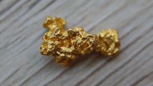 Gold Nugget The Smart RVer
