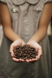 coffee beans at farmers market