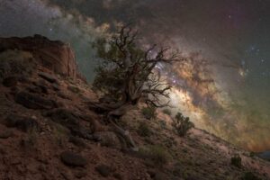 Stargazing RVers