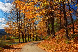 RVing to watch the leaves fall