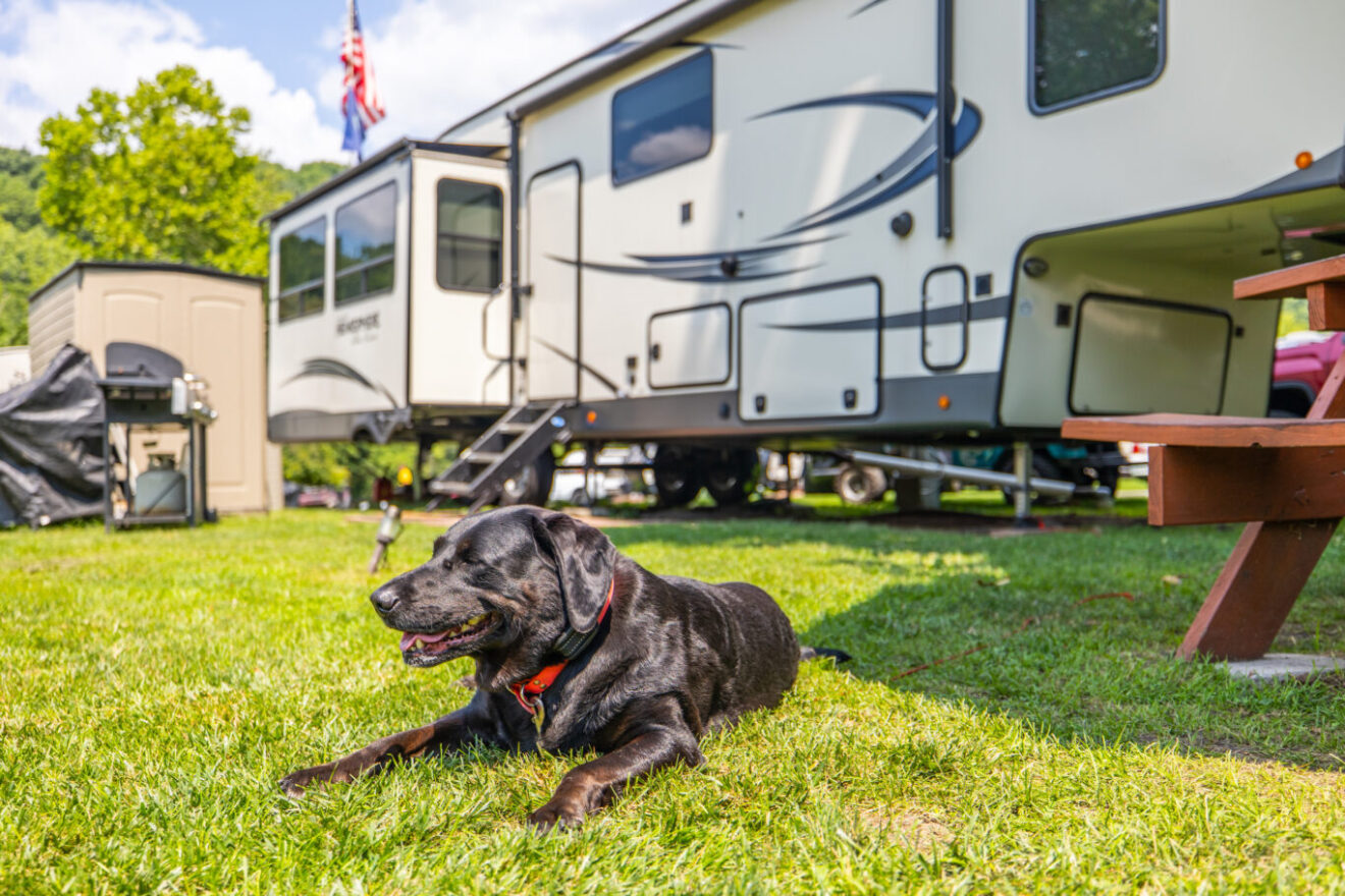 Top 10 Dog-Friendly RV Parks
